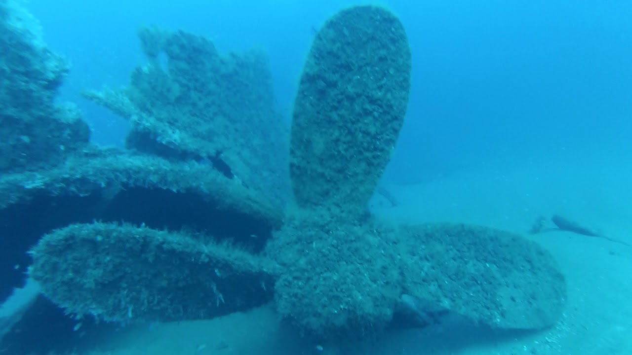 Exploring the Proteus Shipwreck with Dive Hatteras YouTube