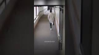 He Tried To Jump Through The Windowmusic Xlr Inshvllvh