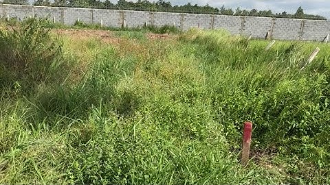 Đất 7200m Giá 8,2 tỷ Khu dân cư An Nhơn Tây Củ Chi