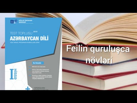 Feilin quruluşca növləri ( testlərin izahı )