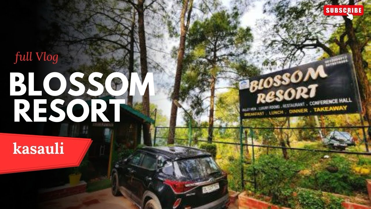 Kasauli Best Budget Resort ! Swimming Pool! Price Starting 2999/-Blossom Resort 