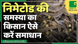 फसलों में Nematodes की समस्या और रोकथाम | Soil | मृदा जनित सूत्रकृमी | Soil Health | Green TV