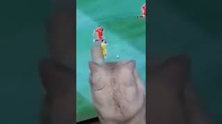 cat's funny reaction on football playing on tv😂🐈😍