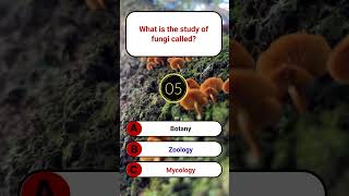 What is the study of fungi called | SmartGlobalGK | GK Quiz