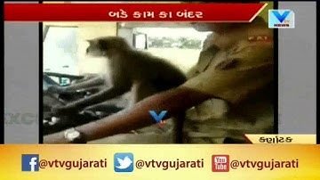Watch: ‘Monkey driver’ in Karnataka takes control of KSRTC bus, onlookers stunned | Vtv News