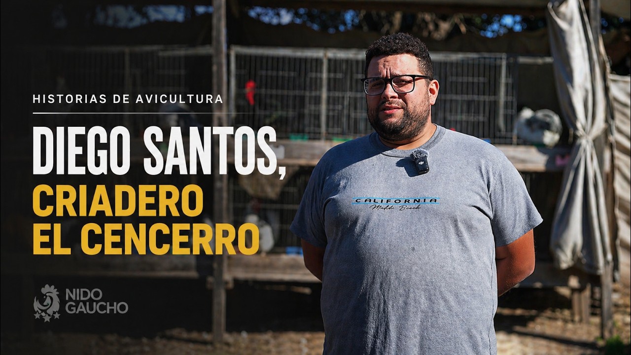 NIDO GAUCHO! temporada 1