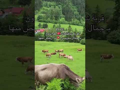 شافشات Şavşat جنة مخفية في الشمال التركي تقع شافشات في ولاية أرتفين شمال تركيا 00966569222111