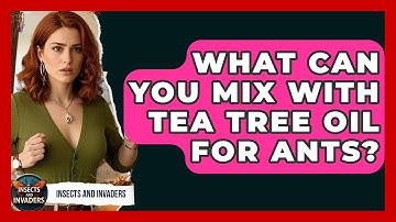 What Can You Mix With Tea Tree Oil For Ants? - Insects and Invaders