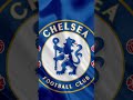 I Don T Support Chelsea mp3