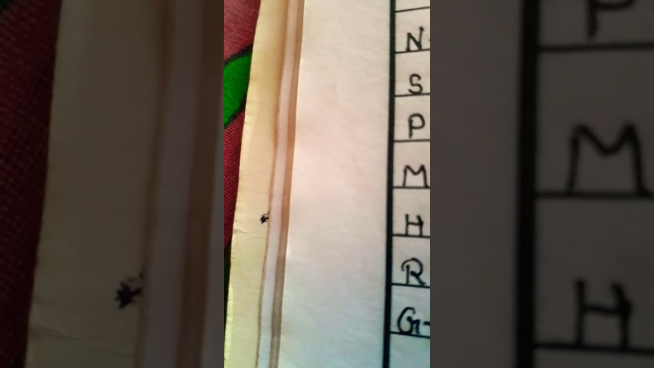 First Letter Name shots viral video trending youtube YouTube First Letter Name shots viral video trending youtube YouTube
