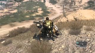 MGSV: DWalker  A User's Guide