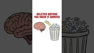 Your Brain Deletes 90% of Your Day on Purpose