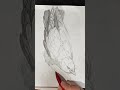 #drawingtutorial #drawingbirds sketch n.12 of my #artchallenge bird studies