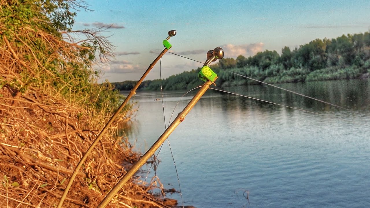 ДЕДОВСКАЯ СНАСТЬ НА ПАЛКЕ! СОМ И САЗАН НА ДОНКИ С БЕРЕГА! Рыбалка в Астрахани 2025.