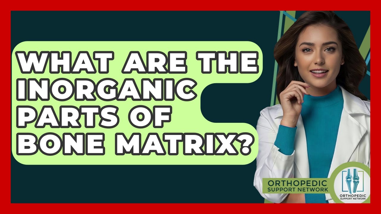 What Are The Inorganic Parts Of Bone Matrix? - Orthopedic Support Network