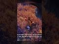 Uncharted 4-A Thief's End, #uncharted #gaming #shortsreels #shorts