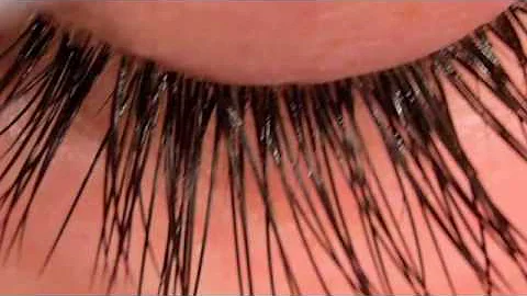 LASH LOUNGE ATLANTA EYELASH EXTENSIONS BY SHERRY L...