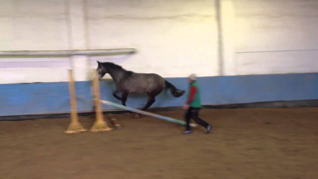 Калифорния 