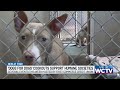 First Commerce Credit Union ‘Dogs for Dogs’ community cookouts support local humane societies