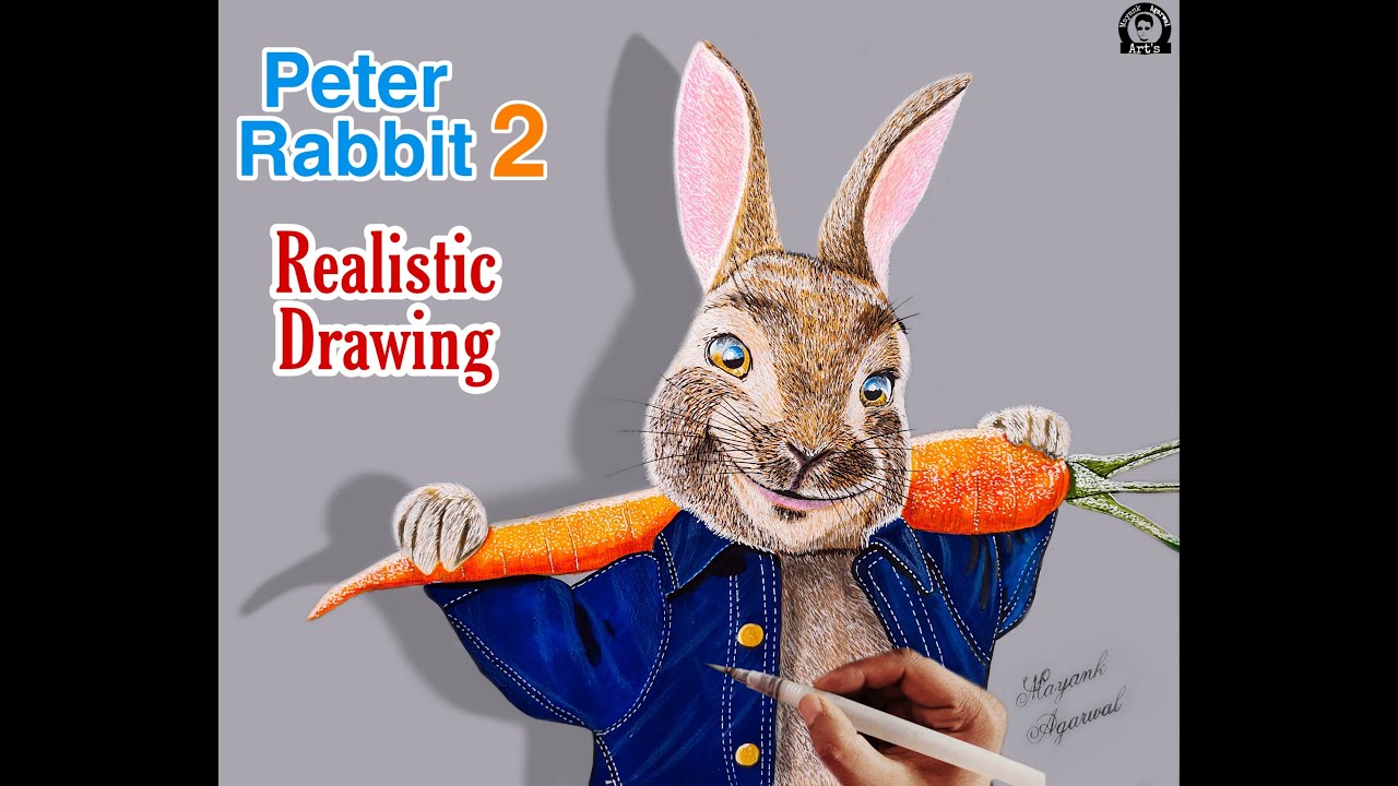 How to Draw Peter Rabbit 2 / Realistic Drawing - YouTube