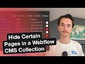 Hide Certain Pages in a Webflow CMS Collection