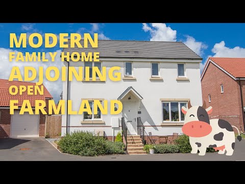 Modern detached family home for sale in Devon town, adjoining open fields