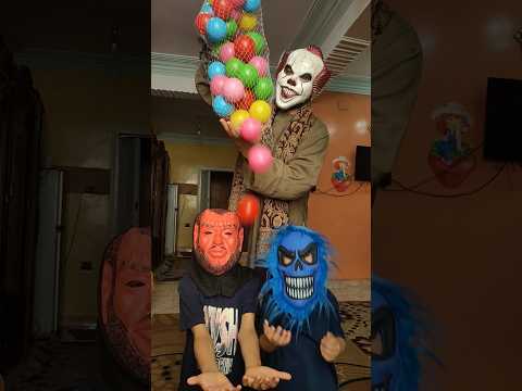 الكلب اللولو هو هو 