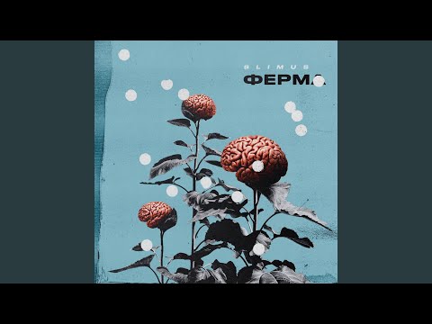 SLIMUS - Храни