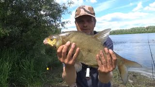 картинка: Ловля ЛЕЩА на КОРОТКИЕ ПОВОДКИ или СИЛИК.КУКУРУЗА/ПЕНОПЛАСТ/САЛО! Рыбалка На Оке 2022!