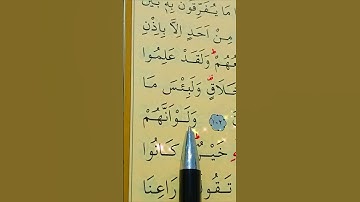 سورة البقرة الأية 102 إلى 104 القارئ سعد الغامدي
