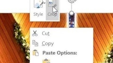 How To: Crop An Image And Save To New Image Using Microsoft Word