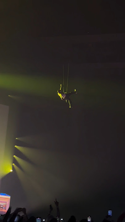 Chris Brown Flying At His Live Performance😲 #viral #trending #chrisbrown