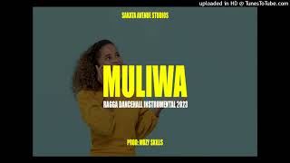 MULIWA - Ragga dancehall instrumental UGANDAN TYPE BEAT 2023