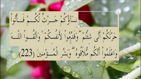 القران الكريم سورة البقرة الاية  223