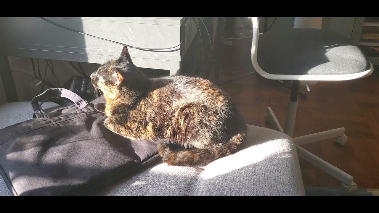 Pithoprakta - Iannis Xenakis - French National Orchestra dir. Maurice le Roux