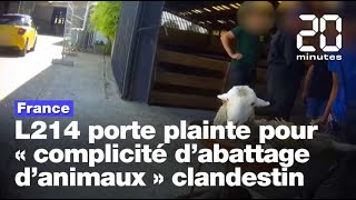 L214 porte plainte pour « complicité d’abattage d’animaux » clandestin