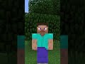 HISTORIA STEVE Z MINECRAFTA W 40 SEKUND! #shorts