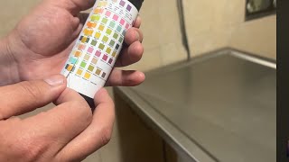 Ella Salió Mal En Sus Resultados