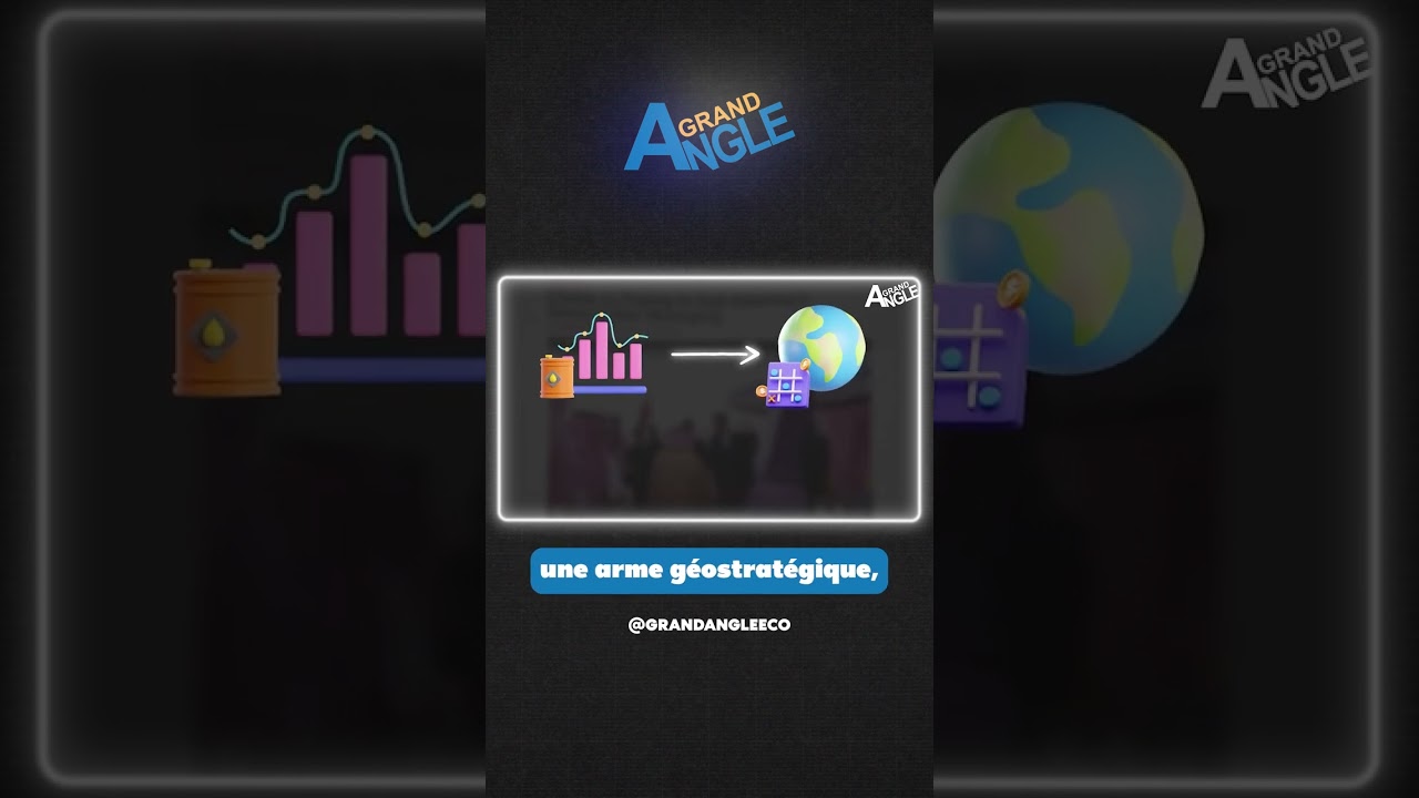 FIN du #petrodollar et ruine de l'occident ?  ?Abonne-toi et go en description ! #shorts