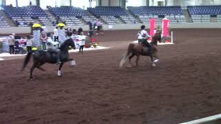 20231105   KM   WTC Showmanship 14 15   Finals