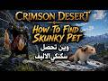 Crimson Desert How To Find Skunky Pet | وين تحصل سكنكي الاليف