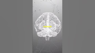 86 Billion Neurons: Unlocking the Mind-Blowing Power of Your Brain!