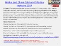 World &amp; Chinese Calcium Chloride 2014 Industry Research