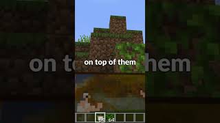 Minecraft vine secret feature...