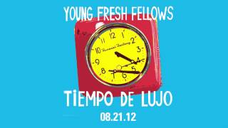 Video thumbnail of "12. Young Fresh Fellows -"Broken Monkey""
