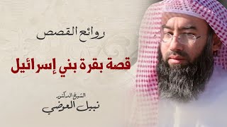 قصة بقرة بني إسرائيل | الشيخ نبيل العوضي