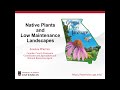 Native Plants (Statewide) and Low Maintenance Landscapes