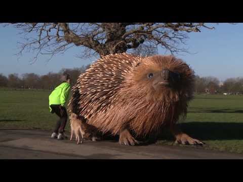 Sir David Attenborough and giant hedgehog launch new TV show Natural Curiosities