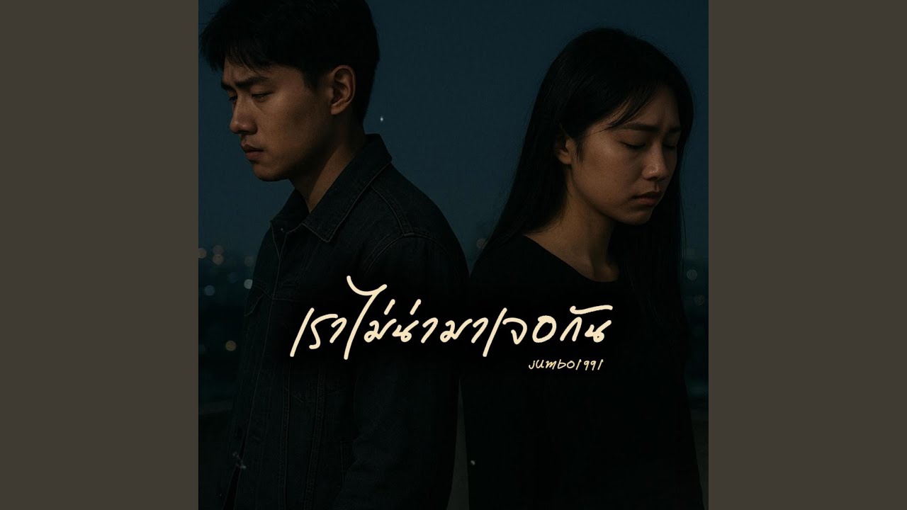 เราไม่น่ามาเจอกัน