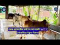 গরুর প্রজেক্টের সর্বশেষ আপডেট 🐄🏗️ | JakaRiaz Agro Farm